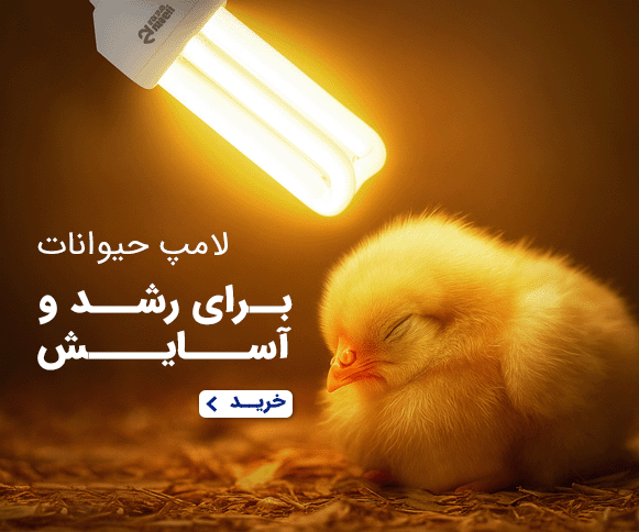 /images/thumbs/0024963_لامپ حیوانات.png